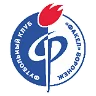 Факел Воронеж